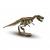 Recherche ton tyrannosaure - explore  Ses Creative    002544
